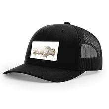 Load image into Gallery viewer, Ronnie Dunn Buffalo Hat